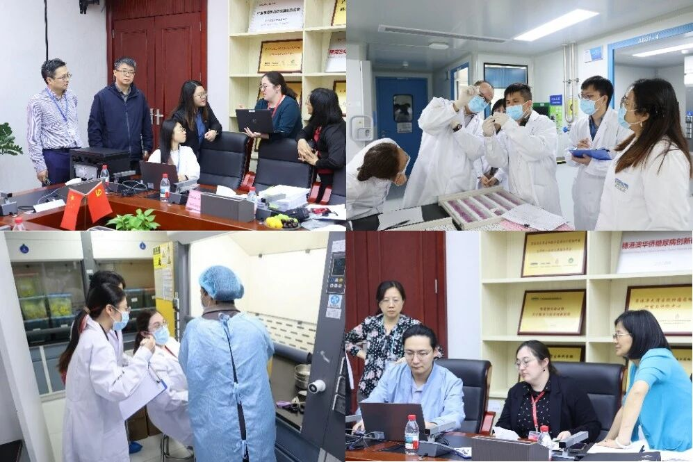 1763136621558989.png image.png