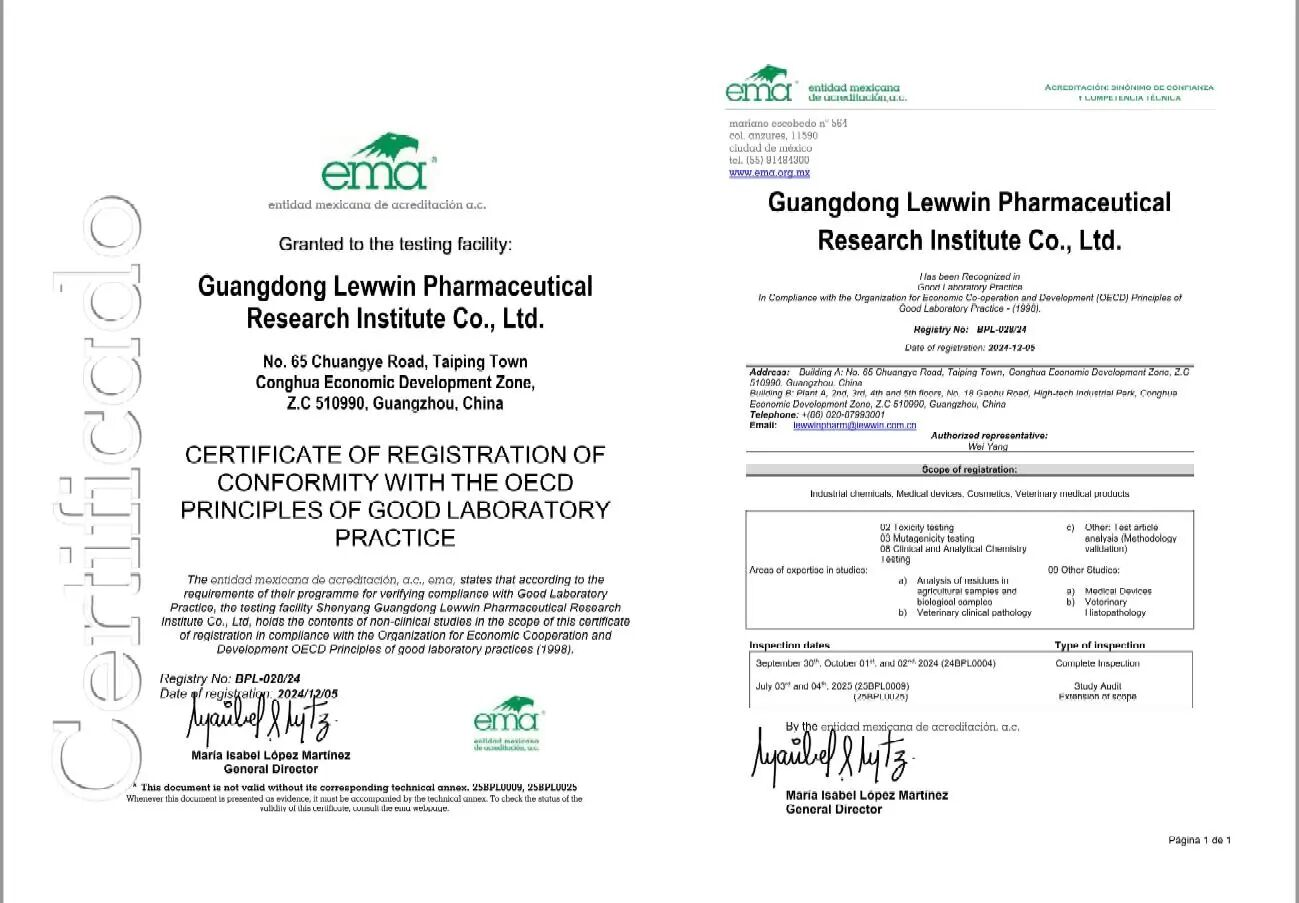 1767194967795321.png image.png