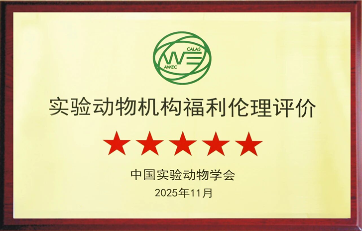 1767195046700184.png image.png